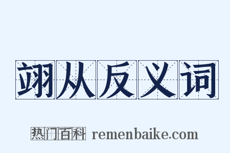 翊从反义词是什么意思的图片